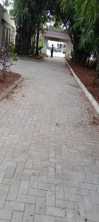 TUI Blue Road Renovation, Pwani Mchangani, Zanzibar